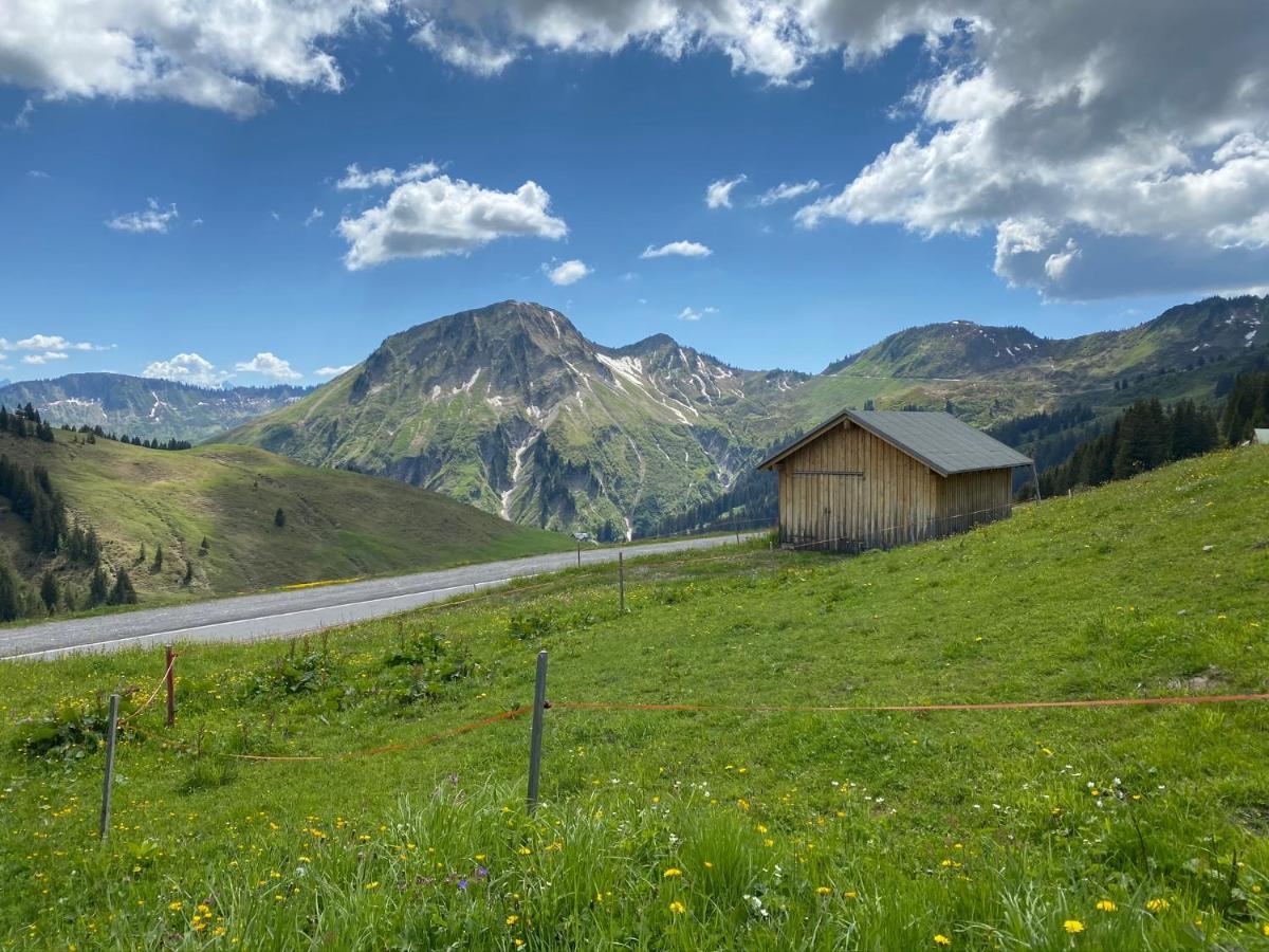 Apartment "Johann" Aktivurlaub Im Bregenzerwald Mellau Eksteriør billede