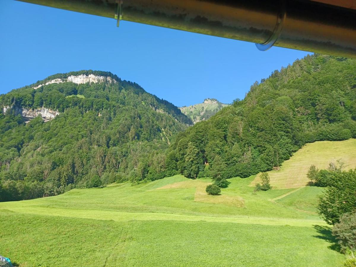 Apartment "Johann" Aktivurlaub Im Bregenzerwald Mellau Eksteriør billede